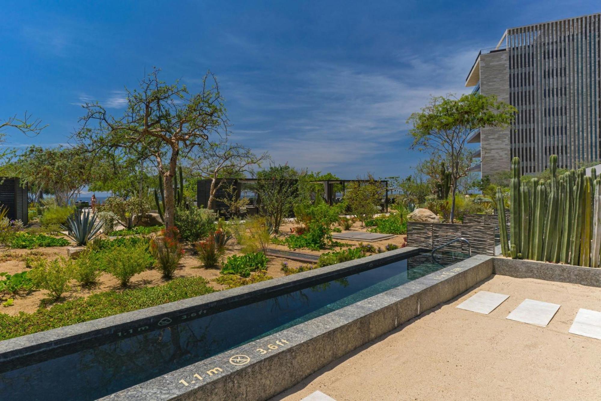 Solaz, A Luxury Collection Resort, Los Cabos San José del Cabo Εξωτερικό φωτογραφία